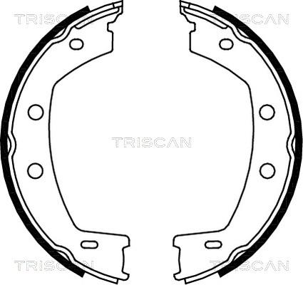 Triscan 8100 17013 - Комплект гальм, ручник, парковка autozip.com.ua