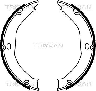 Triscan 8100 80008 - Комплект гальм, ручник, парковка autozip.com.ua