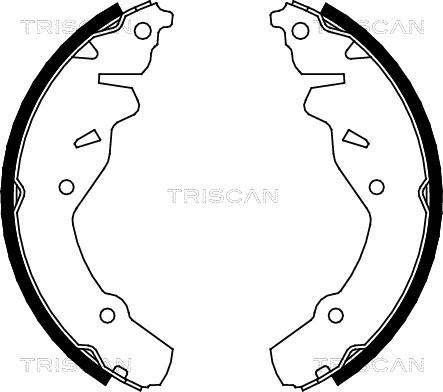 Triscan 8100 80002 - Комплект гальм, барабанний механізм autozip.com.ua