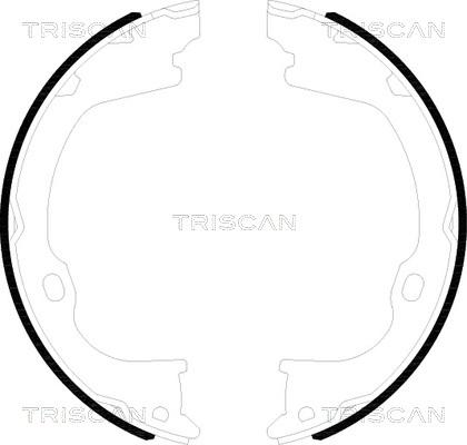 Triscan 8100 80019 - Комплект гальм, ручник, парковка autozip.com.ua