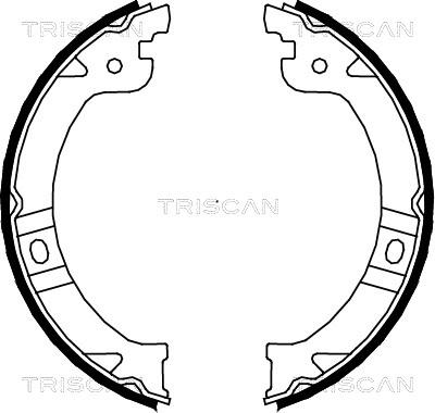 Triscan 8100 80015 - Комплект гальм, ручник, парковка autozip.com.ua