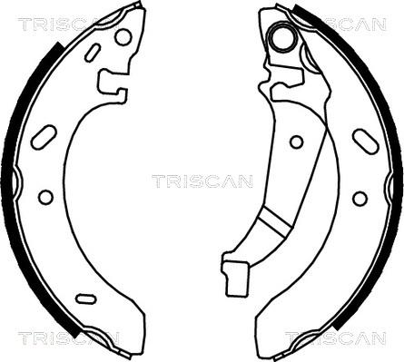 Triscan 8100 80016 - Комплект гальм, барабанний механізм autozip.com.ua