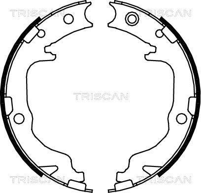 Triscan 8100 80010 - Комплект гальм, ручник, парковка autozip.com.ua