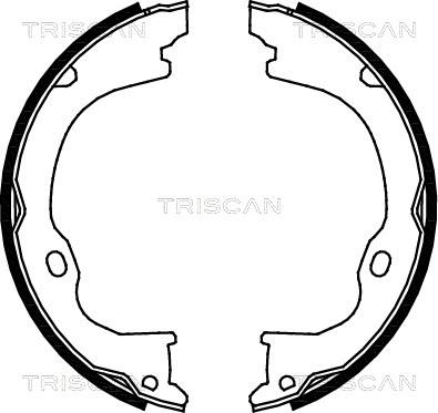 Triscan 8100 80011 - Комплект гальм, ручник, парковка autozip.com.ua