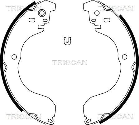 Triscan 8100 80017 - Комплект гальм, барабанний механізм autozip.com.ua