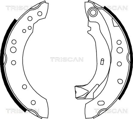 Triscan 8100 38001 - Комплект гальм, барабанний механізм autozip.com.ua