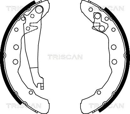 Triscan 8100 29530 - Комплект гальм, барабанний механізм autozip.com.ua