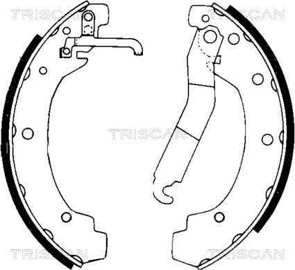 Triscan 8100 29004 - Комплект гальм, барабанний механізм autozip.com.ua