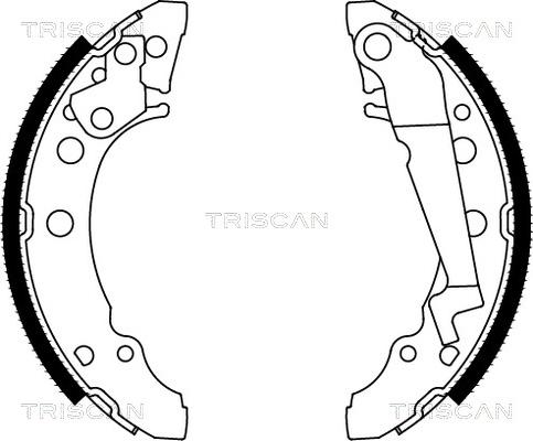 Triscan 8100 29001 - Комплект гальм, барабанний механізм autozip.com.ua