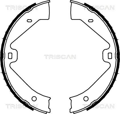 Triscan 8100 29002 - Комплект гальм, ручник, парковка autozip.com.ua