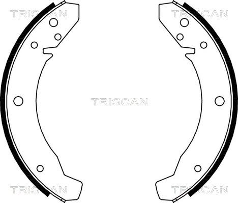 Triscan 8100 29104 - Комплект гальм, барабанний механізм autozip.com.ua