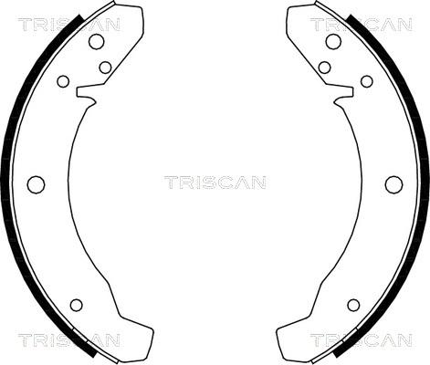 Triscan 8100 29105 - Комплект гальм, барабанний механізм autozip.com.ua
