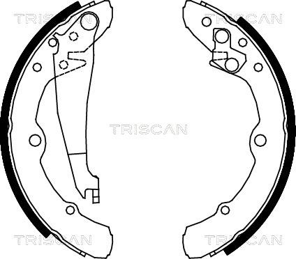 Triscan 8100 29343 - Комплект гальм, барабанний механізм autozip.com.ua