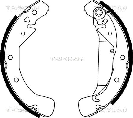 Triscan 8100 24589 - Комплект гальм, барабанний механізм autozip.com.ua
