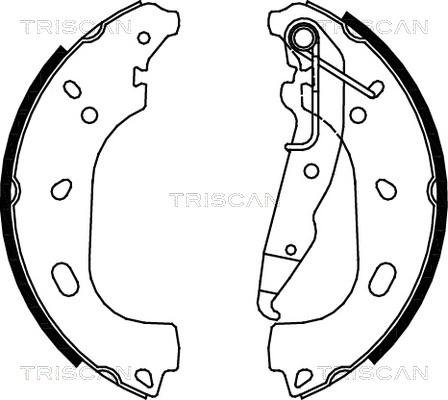 Triscan 8100 24004 - Комплект гальм, барабанний механізм autozip.com.ua