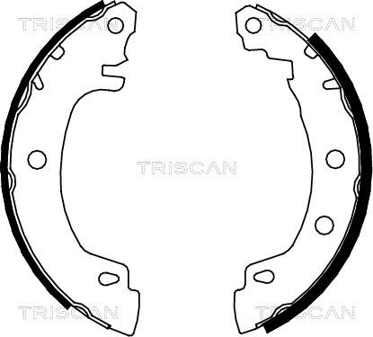 Triscan 8100 25581 - Комплект гальм, барабанний механізм autozip.com.ua