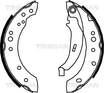 Triscan 8100 25005 - Комплект гальм, барабанний механізм autozip.com.ua