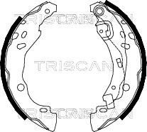 Triscan 8100 25001 - Комплект гальм, барабанний механізм autozip.com.ua