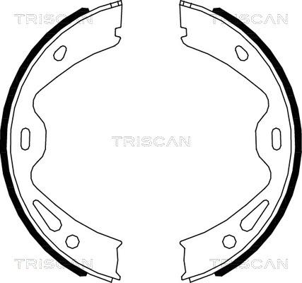 Triscan 8100 20005 - Комплект гальм, ручник, парковка autozip.com.ua