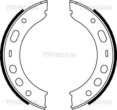 Triscan 8100 20002 - Комплект гальм, ручник, парковка autozip.com.ua