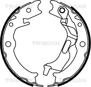 Triscan 8100 21001 - Комплект гальм, барабанний механізм autozip.com.ua