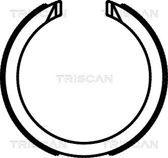 Triscan 8100 21003 - Комплект гальм, ручник, парковка autozip.com.ua