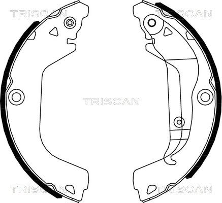 Triscan 8100 21002 - Комплект гальм, барабанний механізм autozip.com.ua