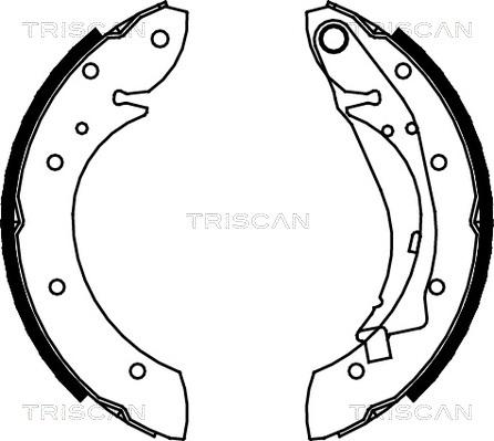 Triscan 8100 28598 - Комплект гальм, барабанний механізм autozip.com.ua