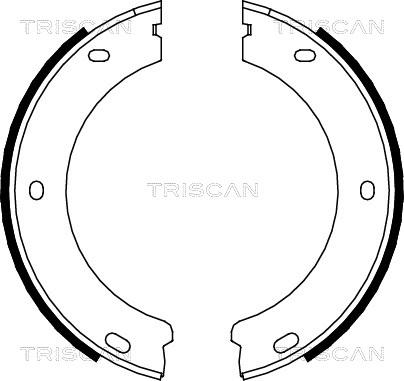 Triscan 8100 28522 - Комплект гальм, ручник, парковка autozip.com.ua