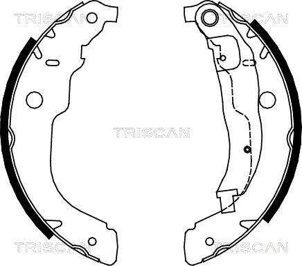 Triscan 8100 28053 - Комплект гальм, барабанний механізм autozip.com.ua