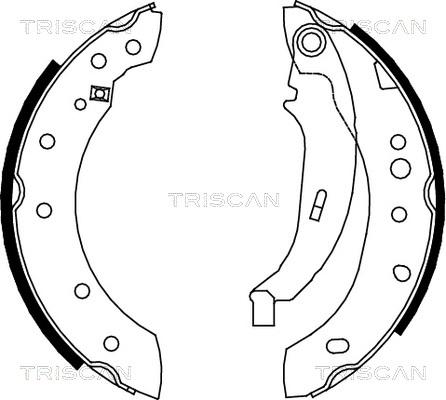 Triscan 8100 28052 - Комплект гальм, барабанний механізм autozip.com.ua