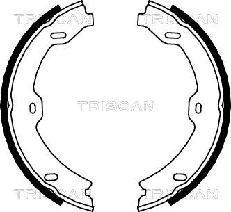 Triscan 8100 23031 - Комплект гальм, ручник, парковка autozip.com.ua