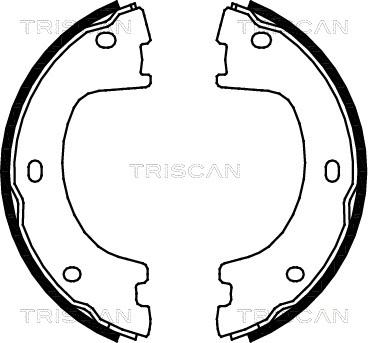 Triscan 8100 23032 - Комплект гальм, барабанний механізм autozip.com.ua