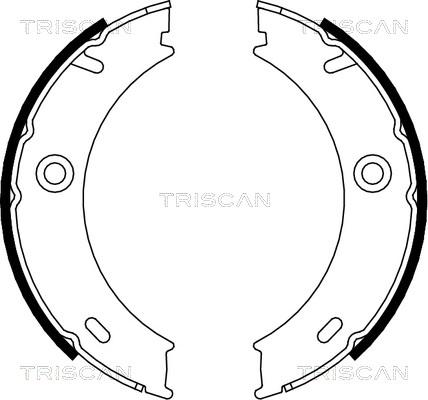 Triscan 8100 23025 - Комплект гальм, ручник, парковка autozip.com.ua