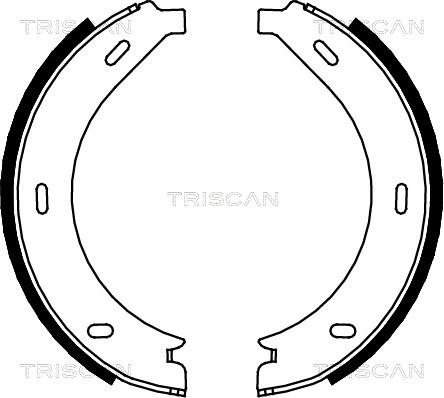 Triscan 8100 23023 - Комплект гальм, ручник, парковка autozip.com.ua