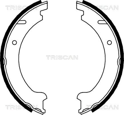 Triscan 8100 27506 - Комплект гальм, ручник, парковка autozip.com.ua