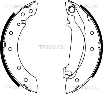 Triscan 8100 27516 - Комплект гальм, барабанний механізм autozip.com.ua