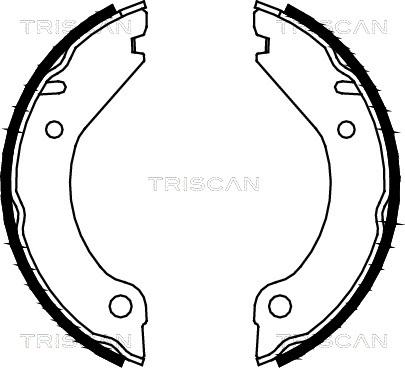 Triscan 8100 27277 - Комплект гальм, ручник, парковка autozip.com.ua