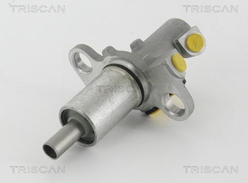 Triscan 8130 29172 - Головний гальмівний циліндр autozip.com.ua