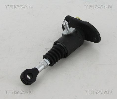 Triscan 8130 29209 - Головний циліндр, система зчеплення autozip.com.ua