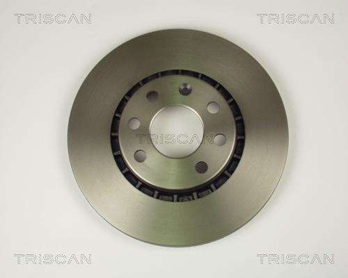 Triscan 8120 24113 - Гальмівний диск autozip.com.ua