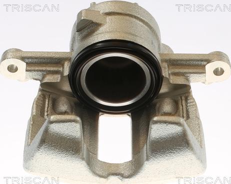 Triscan 8175 10134 - Гальмівний супорт autozip.com.ua