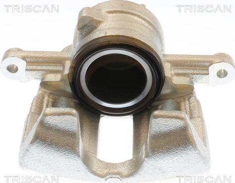 Triscan 8175 10133 - Гальмівний супорт autozip.com.ua