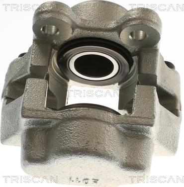 Triscan 8175 29134 - Гальмівний супорт autozip.com.ua