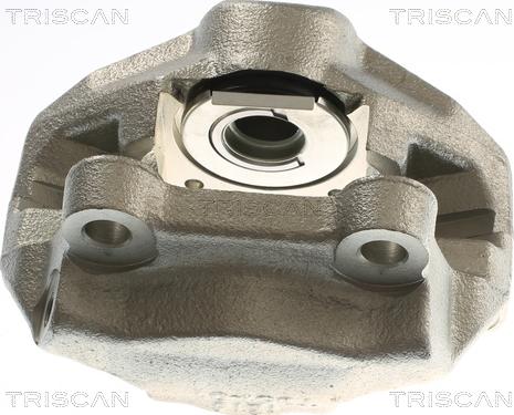 Triscan 8175 23213 - Гальмівний супорт autozip.com.ua