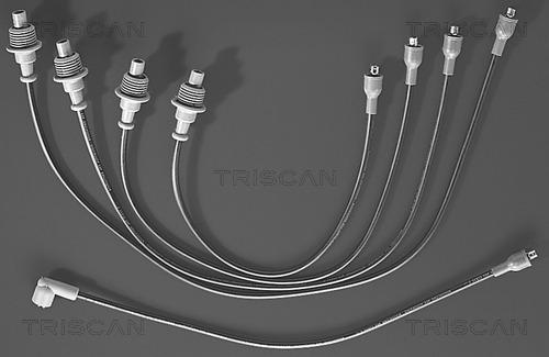 Triscan 8860 4303 - Комплект проводів запалювання autozip.com.ua