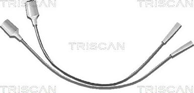 Triscan 8860 3166 - Комплект проводів запалювання autozip.com.ua
