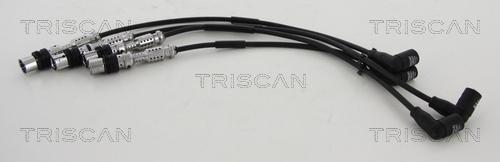 Triscan 8860 29031 - Комплект проводів запалювання autozip.com.ua
