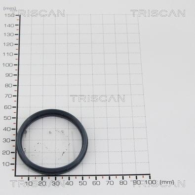 Triscan 8813 9995 - Прокладка autozip.com.ua