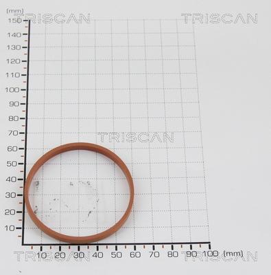 Triscan 8813 9939 - Прокладка autozip.com.ua